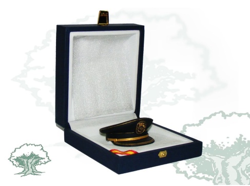 Gorra de plato de escritorio Inspector Policía Nacional