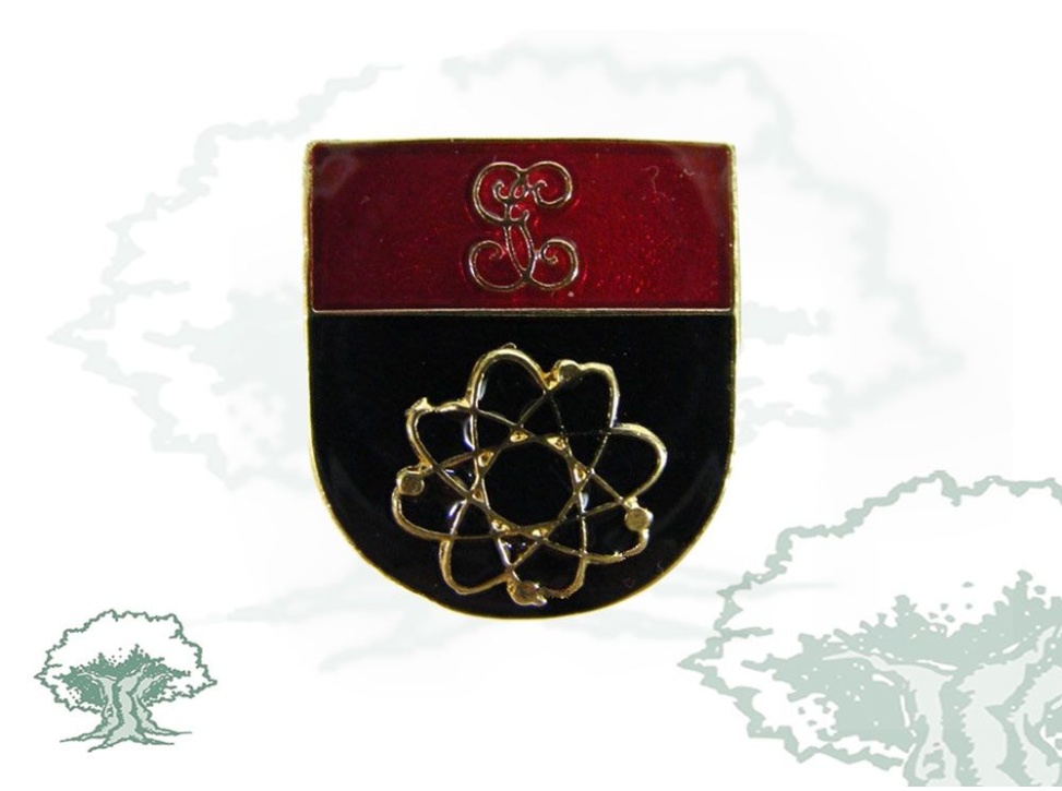Distintivo de título Informática Guardia Civil