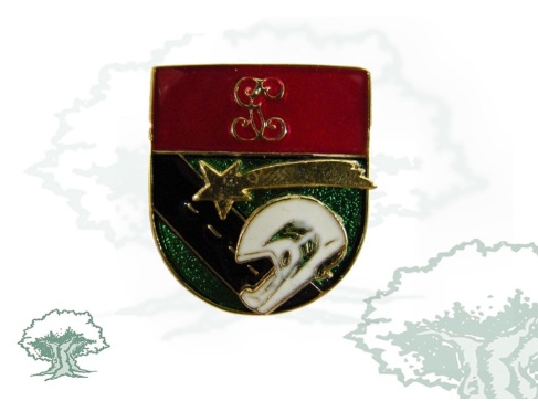 Distintivo de título Guardia Civil de Tráfico