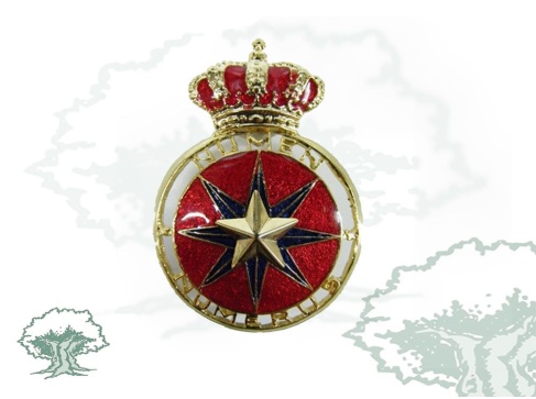 Distintivo Auxiliar de Estadística Militar