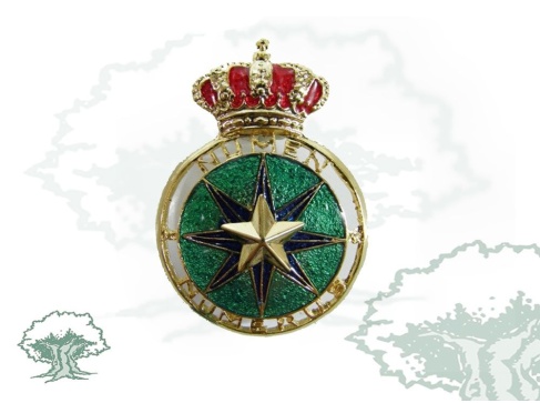 Distintivo Especialista Militar en Estadística