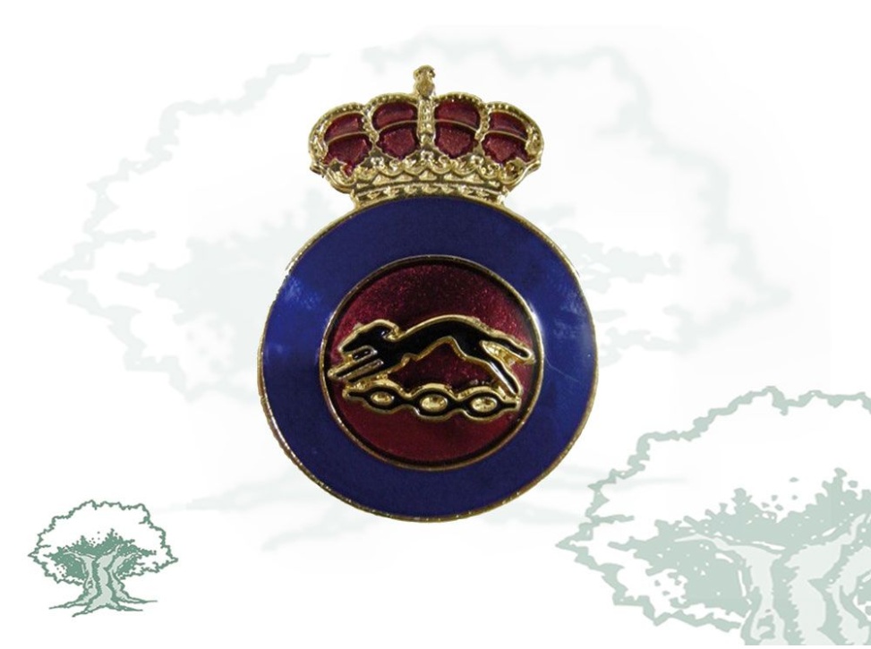 Distintivo de título Instructor de Educación Física Ejército