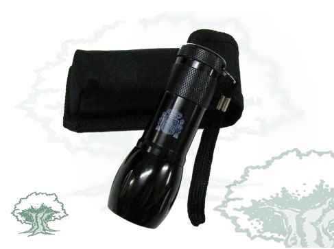 Linterna Escudo Constitucional