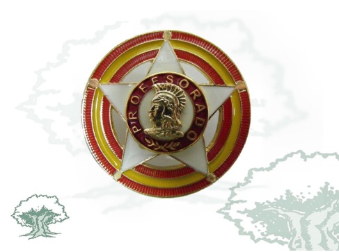 Distintivo Profesorado Escala Suboficial