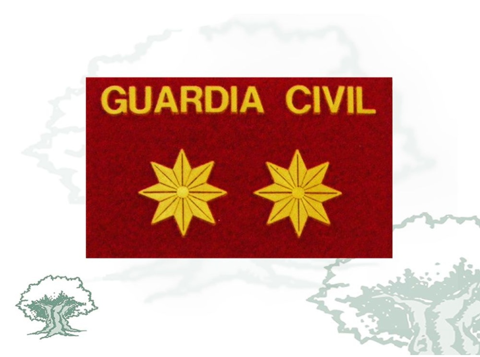 Galleta Teniente Coronel Guardia Civil fieltro