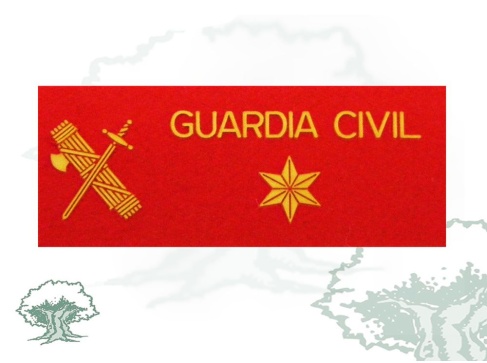 Galleta Alferez Guardia Civil fieltro grande