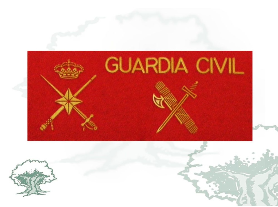Galleta General de Brigada Guardia Civil fieltro grande
