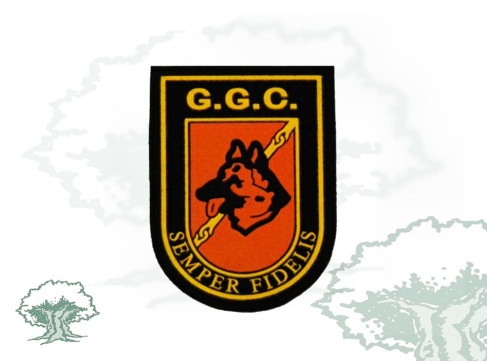 Parche GGC Policía Nacional