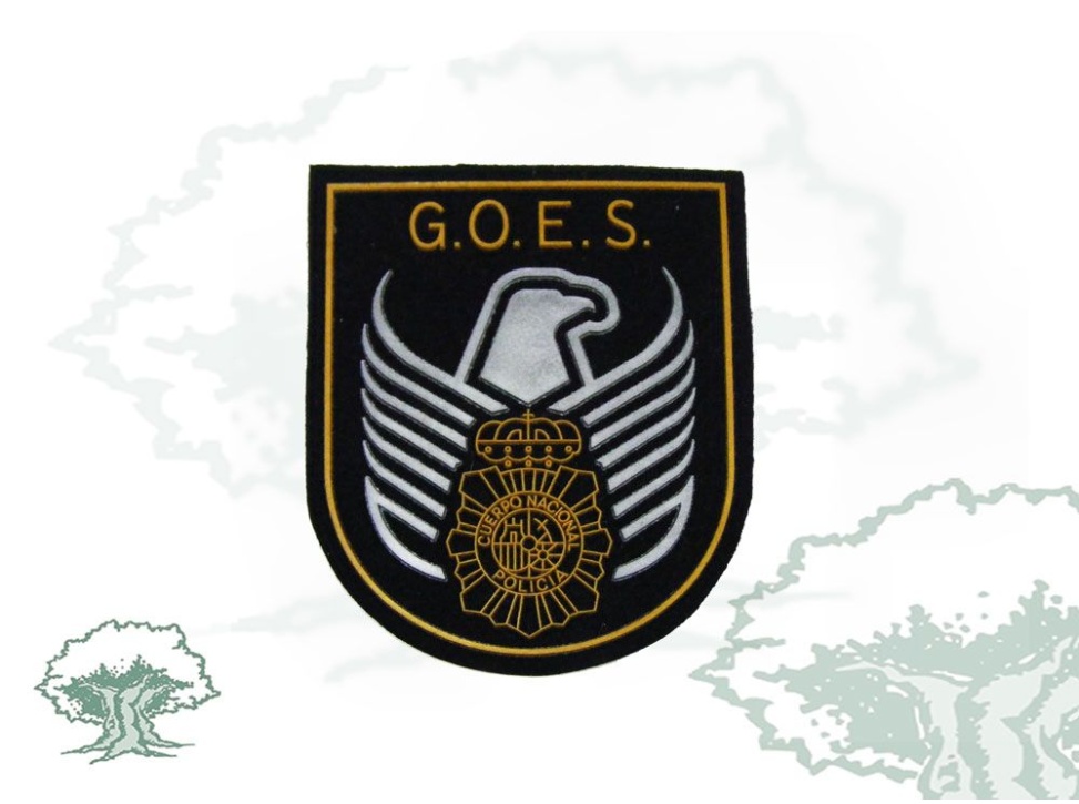 Parche GOES Policía Nacional