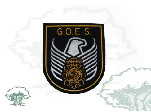 Parche GOES Policía Nacional