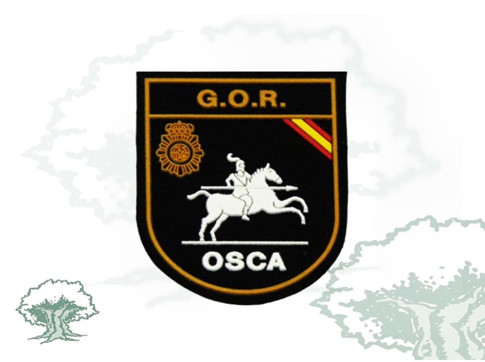 Parche GOR Policía Nacional