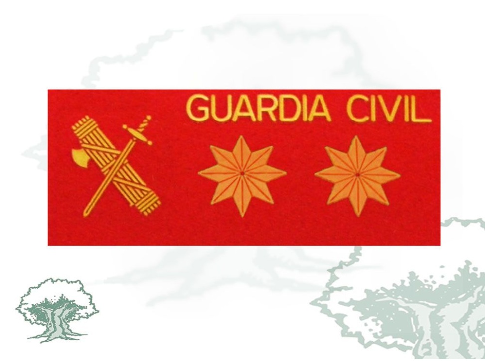 Galleta Teniente Coronel Guardia Civil fieltro con velcro