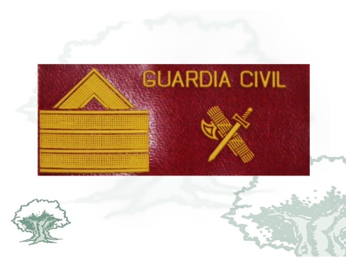 Galleta Sargento 1º de la Guardia Civil de PVC con velcro