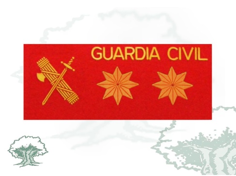 Galleta Teniente Coronel de la Guardia Civil de PVC con velcro