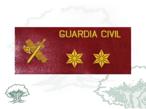 Galleta Teniente de la Guardia Civil de PVC con velcro
