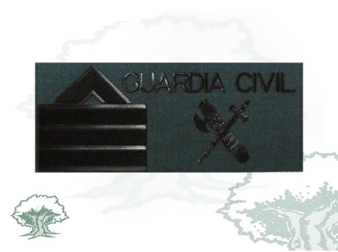 Galleta Sargento 1º Guardia Civil traje campaña