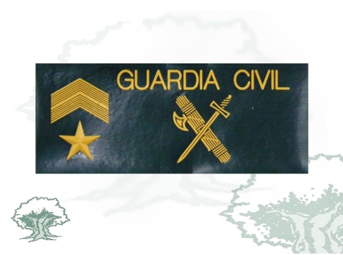 Galleta Suboficial Mayor Guardia Civil traje agua
