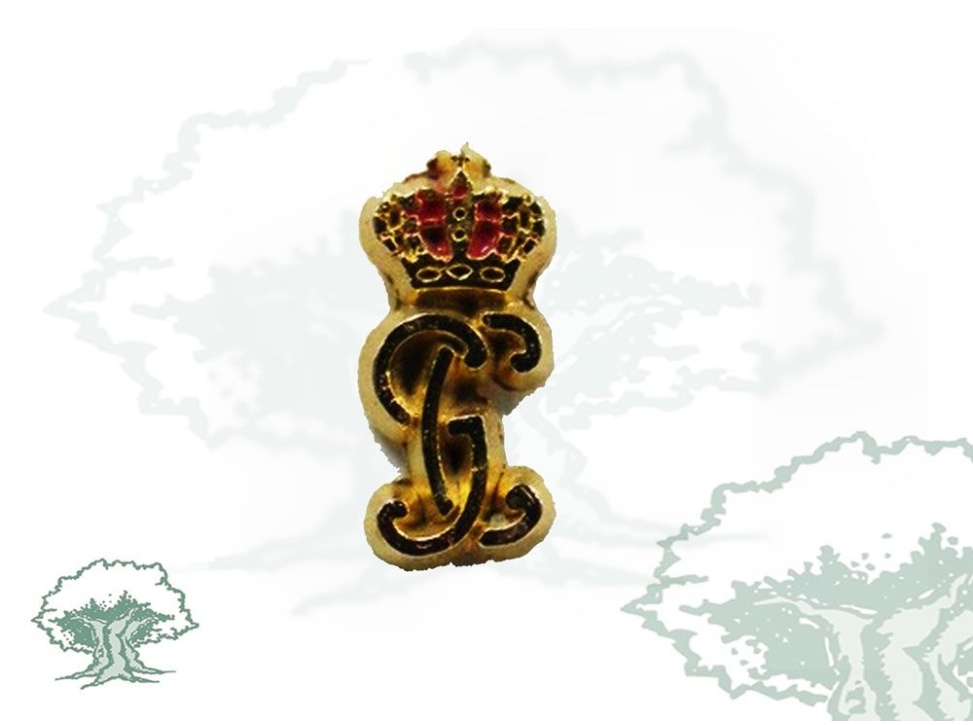 Pin Guardia Civil emblema antiguo dorado