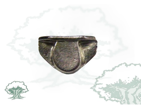 Pin tricornio plateado