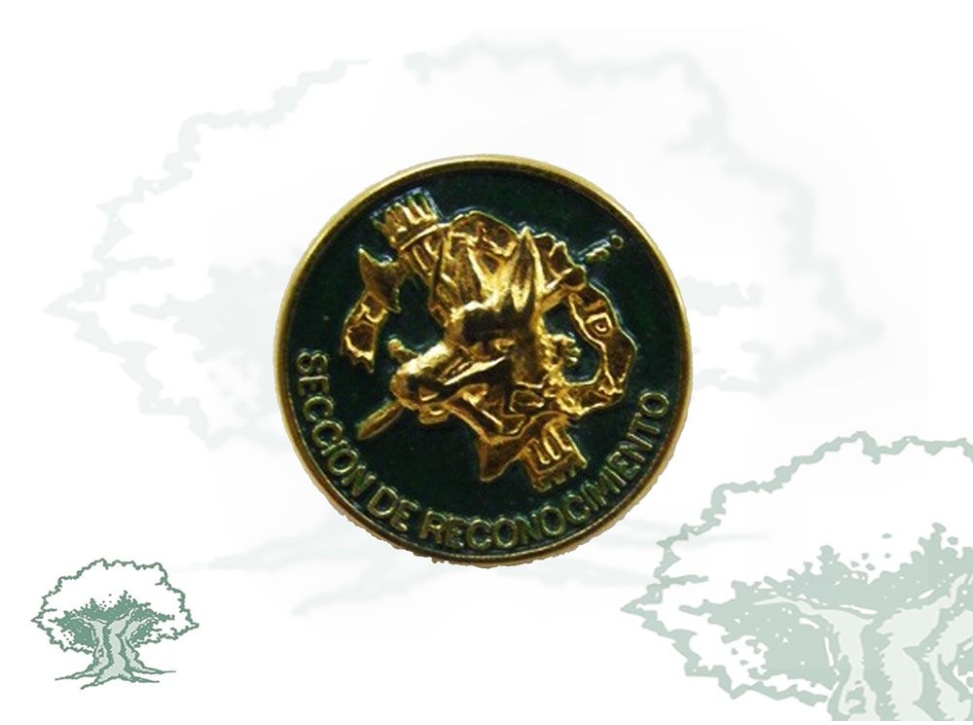 Pin Adiestramientos Especiales Guardia Civil