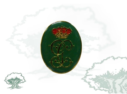 Pin Guardia Civil emblema antiguo ovalado
