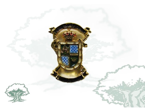 Pin Academia de Guardias de la Guardia Civil