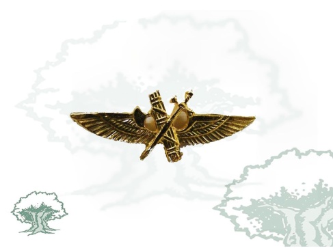 Pin Roquisqui Guardia Civil