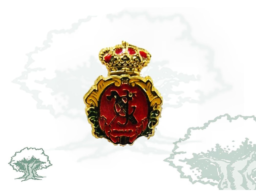 Pin Colegio Guardias Jóvenes Guardia Civil