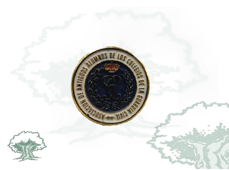 Pin Asociación Antiguos Alumnos Guardia Civil