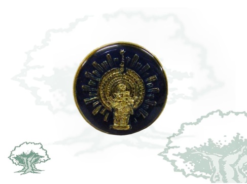 Pin Virgen del Pilar circular