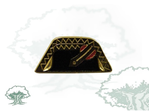 Pin tricornio antiguo