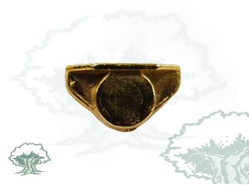 Pin tricornio dorado