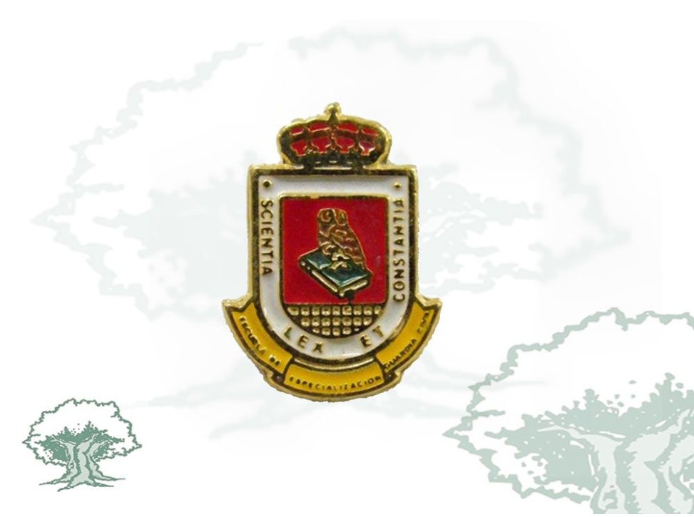 Pin Científica Guardia Civil