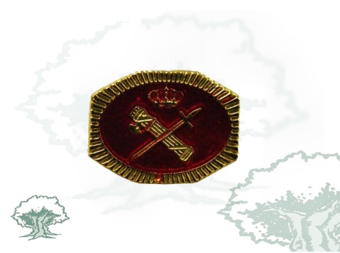 Pin Guardia Civil octogonal