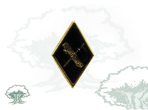 Pin Guardia Civil rombo azul