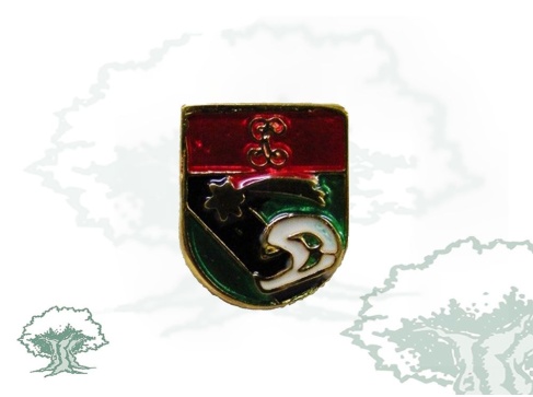 Pin de solapa Guardia Civil de Tráfico