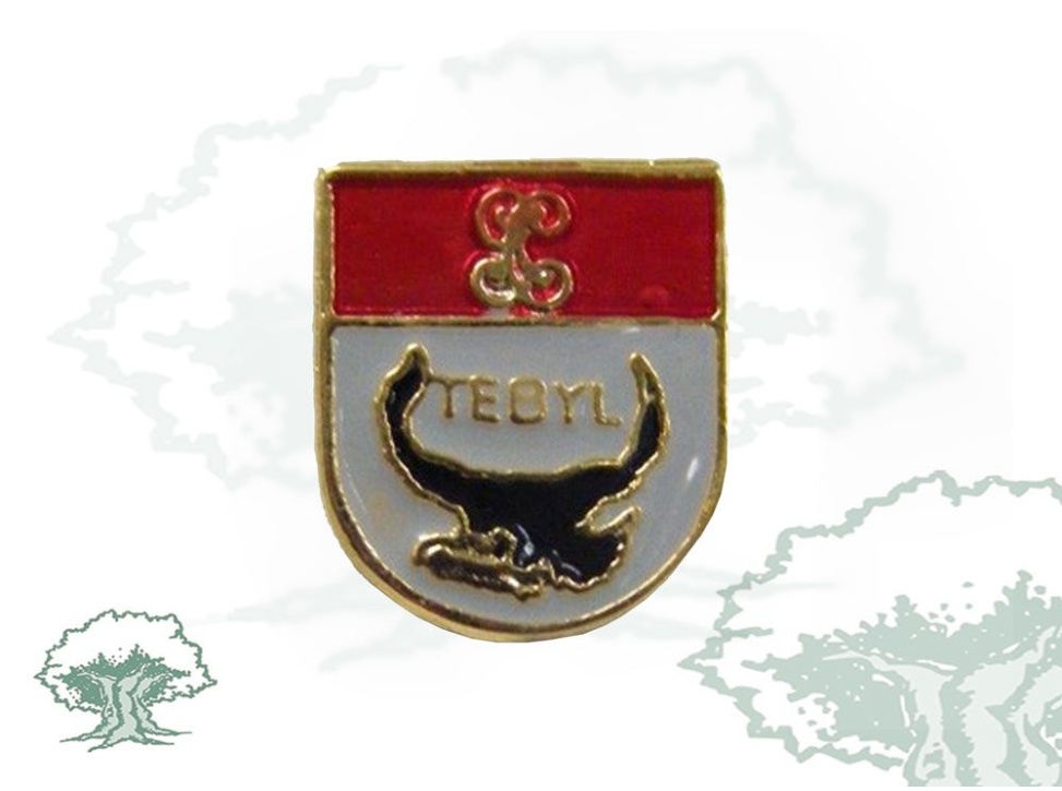 Pin de solapa Tebyl Guardia Civil