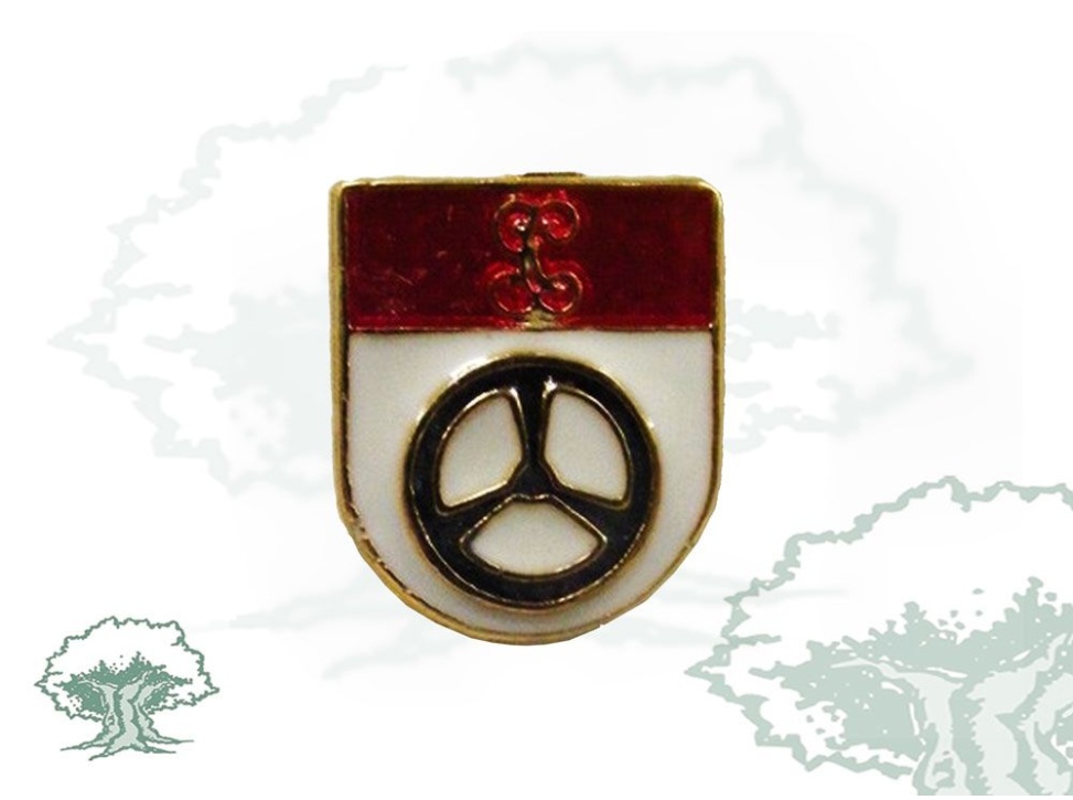 Pin Conductor Motorista Guardia Civil de solapa