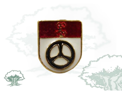 Pin de solapa Conductor Motorista Guardia Civil