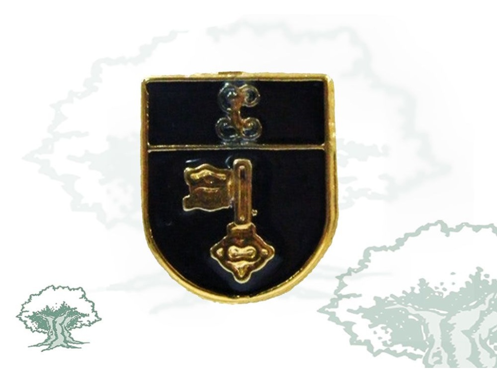 Pin de solapa Transmisiones Guardia Civil