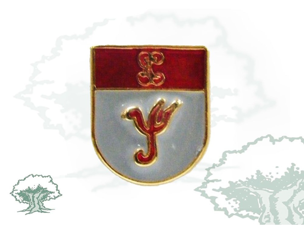 Pin Psicología Guardia Civil de solapa