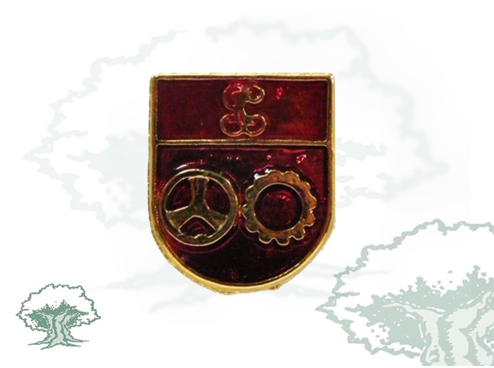 Pin de solapa Jefe de Destacamento Guardia Civil