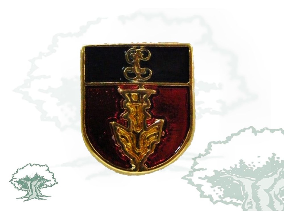 Pin Servicio Aéreo Guardia Civil de solapa