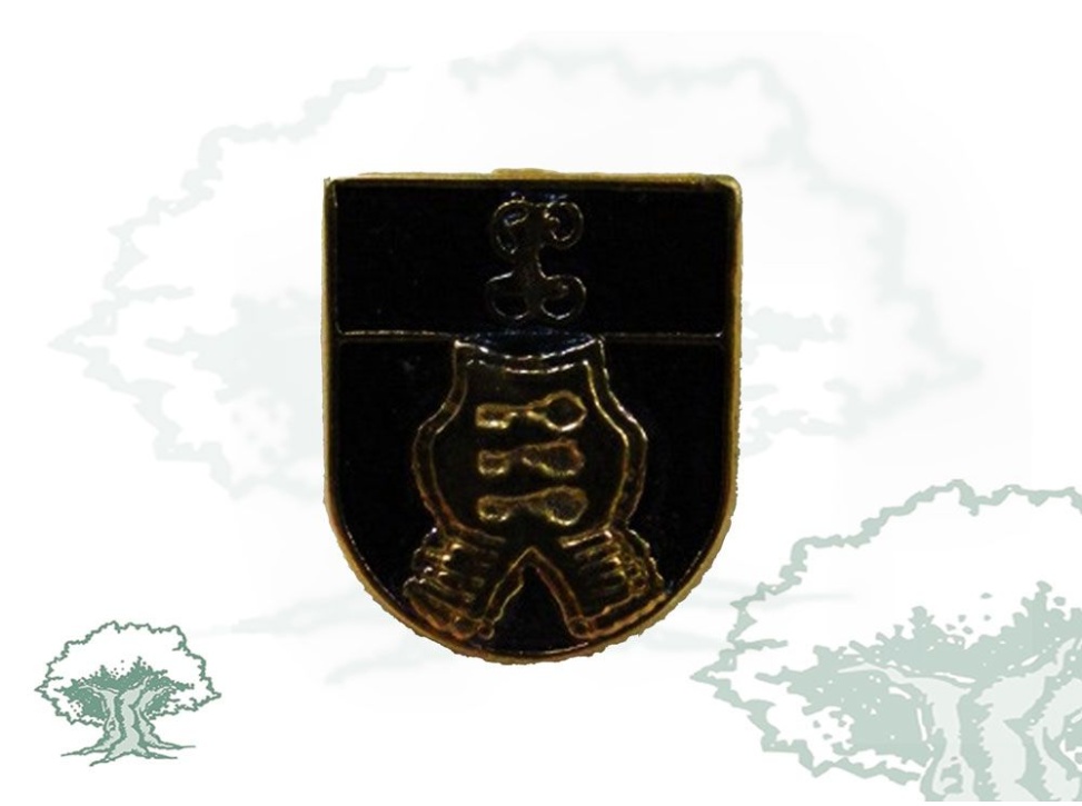 Pin Protección y Seguridad Guardia Civil de solapa