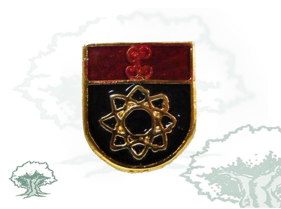 Pin Informática Guardia Civil de solapa