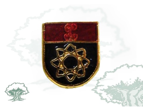 Pin de solapa Informática Guardia Civil Pin de solapa Informática Guardia Civil