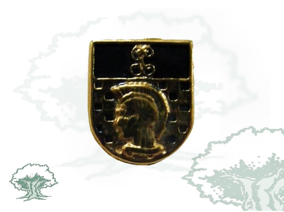 Pin Enseñanza Guardia Civil de solapa