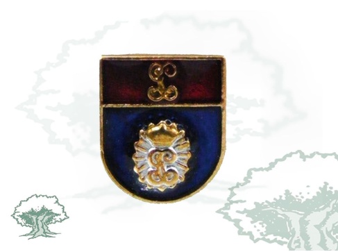 Pin Fiscal Guardia Civil de solapa