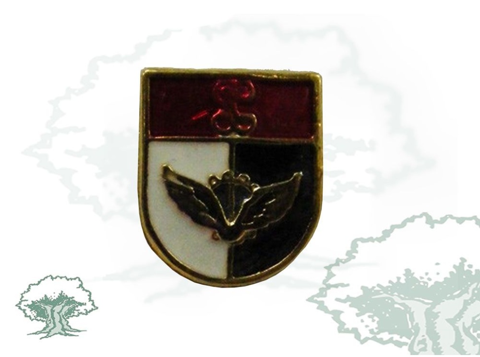 Pin de solapa Mecánico de Aeronaves Guardia Civil