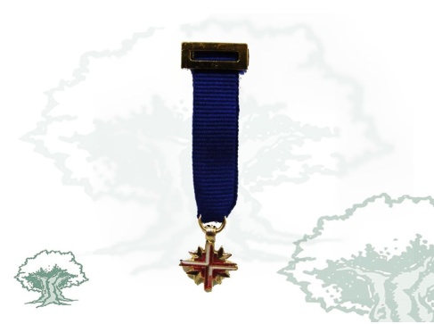 Medalla Excombatiente Europeo miniatura